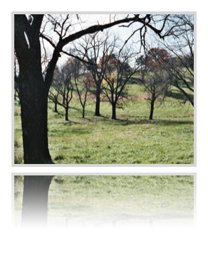 collage image title